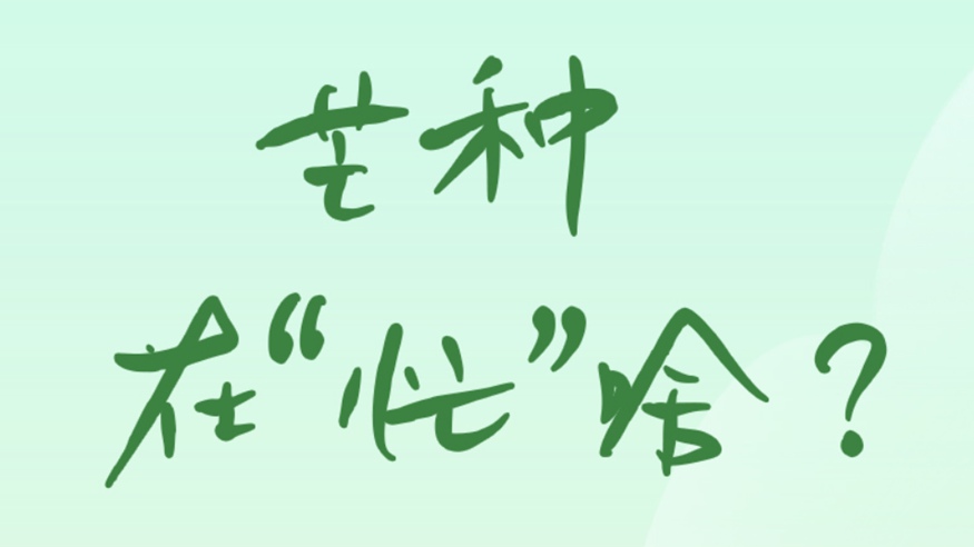 芒種在&ldquo;忙&rdquo;啥？