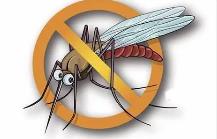 夏季，常見蚊蟲如何應(yīng)對
