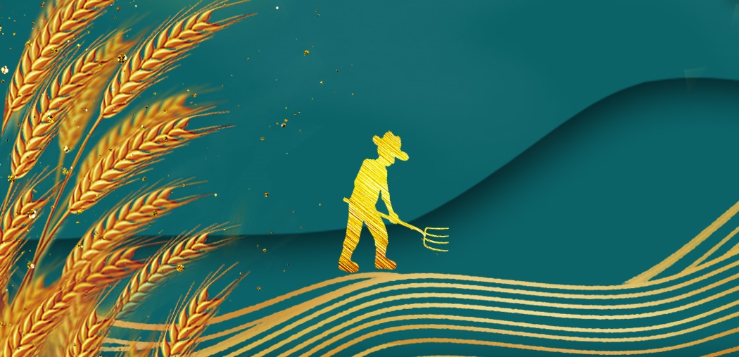 農(nóng)耕智慧的產(chǎn)物&mdash;&mdash;梯田