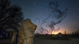 &ldquo;流星雨之王&rdquo;獅子座流星雨18日點亮夜空