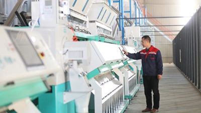 江西春耕新觀察之“糧王”升級(jí):“加工精”“品牌推”“平臺(tái)賣”