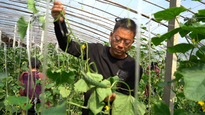 點亮自強自立&ldquo;心燈&rdquo;！聽聽這些殘疾人的創業就業故事