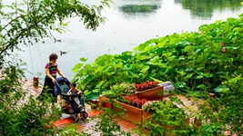 告別大拆大建，老城煥發(fā)新生&mdash;&mdash;北京老城正在發(fā)生的變遷