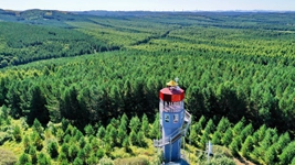 聆聽習(xí)主席2022年新年賀詞：&ldquo;讓我們一起向未來&rdquo;