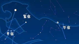 虎年來了,抬頭尋找天上的“白虎”