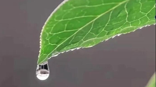 在中國古詩詞里,尋找北京冬奧的“節氣密碼”