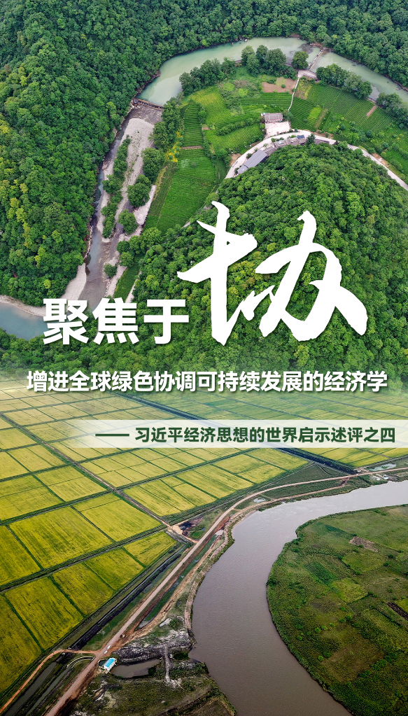 聚焦于&ldquo;協&rdquo;，增進全球綠色協調可持續發展的經濟學