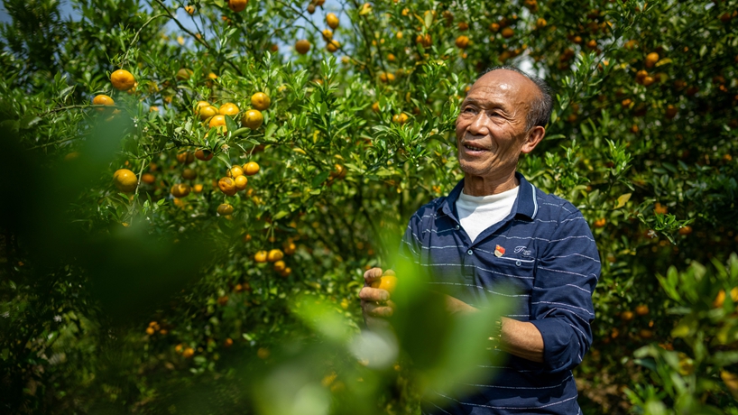戰(zhàn)山斗山,一代又一代“石漠愚公”書(shū)寫(xiě)傳奇
