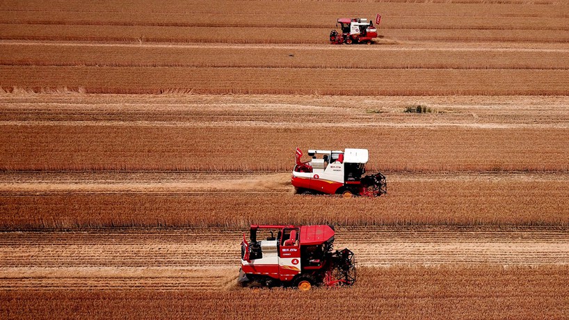 一粒米中的節糧答卷&mdash;&mdash;全社會遏制&ldquo;舌尖上的浪費&rdquo;觀察