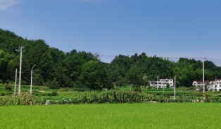 古坊鄉(xiāng)新事&mdash;&mdash;大別山革命老區(qū)鄉(xiāng)村振興一線見聞