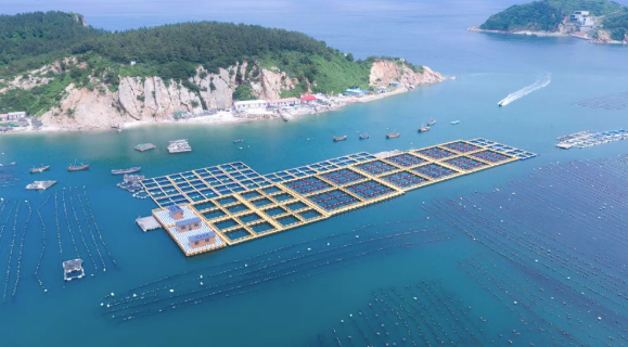 &ldquo;向海圖強(qiáng)&rdquo;：遼寧大連著力做好海洋經(jīng)濟(jì)文章