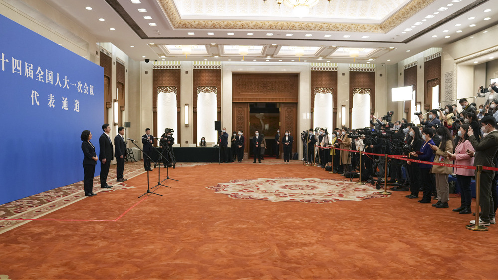 十四屆全國人大一次會議第二場&ldquo;代表通道&rdquo;