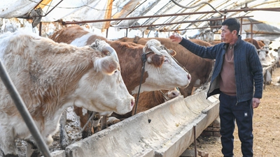 吉林：金融活水流向田間地頭、工廠車間