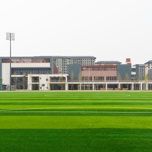 瓣瓣同心向陽開 公共服務攜手辦&mdash;&mdash;京津支持雄安新區建設觀察