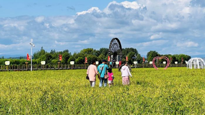 黑龍江寧安：&ldquo;石板稻田&rdquo;里種出&ldquo;致富經(jīng)&rdquo;