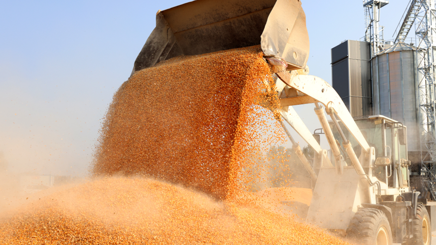 端穩&ldquo;中國飯碗&rdquo; 我國糧食產后節約減損有力推進