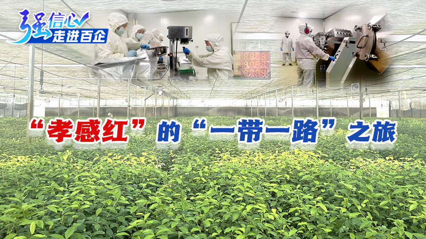 &ldquo;孝感紅&rdquo;的&ldquo;一帶一路&rdquo;之旅