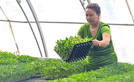 育好新苗趕巴扎&mdash;&mdash;新疆&ldquo;古麗&rdquo;的春日心事