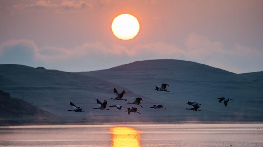 相約春城昆明 共商全球大計(jì)&mdash;&mdash;COP15籌備工作進(jìn)入沖刺階段