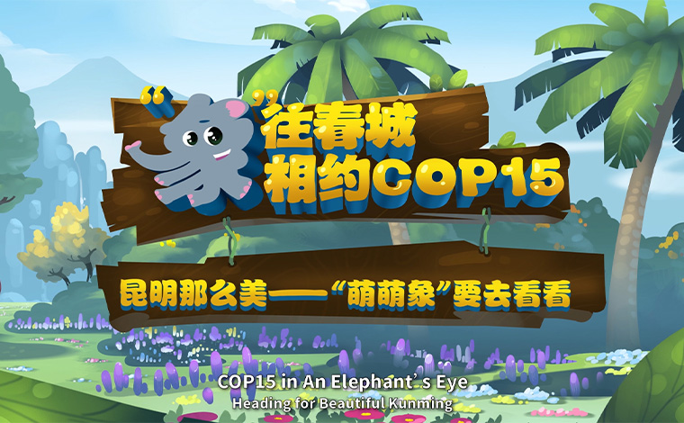 【&ldquo;象&rdquo;往春城 相約COP15】昆明那么美 &ldquo;萌萌象&rdquo;要去看看
