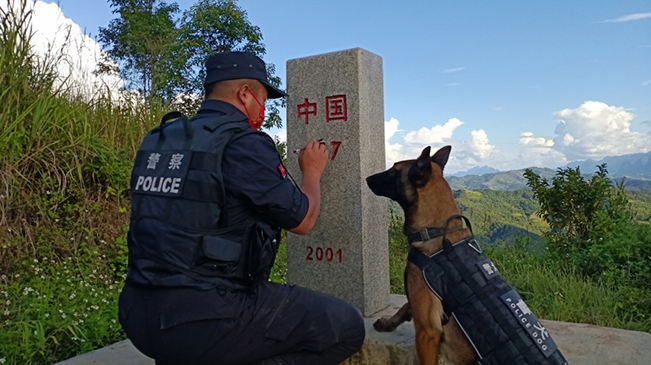 云南一&ldquo;新入職&rdquo;搜爆犬5天掃4雷