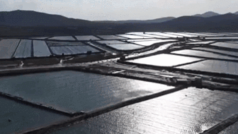 寒潮來襲&middot;山東：降溫影響水產養殖 沿海各地積極應對