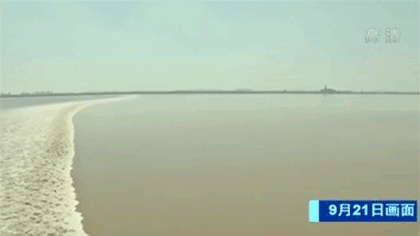 千里波濤滾滾來 錢塘江&ldquo;一線潮＂壯觀來襲