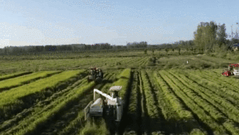 農業農村部：多措并舉 確保冬小麥播種