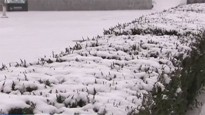 &ldquo;小雪&rdquo;至 寒潮來：遼寧迎來入冬后第二場大范圍降雪