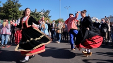 西班牙馬德里:移牧節(jié)