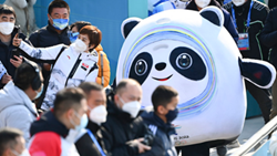 透過“冰墩墩”,感受可愛的中國