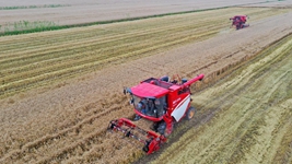 糧田有&ldquo;新事&rdquo; 莊稼出&ldquo;新活&rdquo;