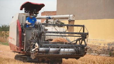 追豐收的&ldquo;新麥客&rdquo;