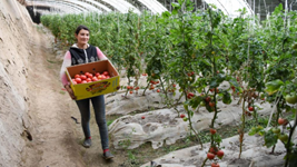 非凡十年|新疆:新時(shí)代新征程上奮力建設(shè)美好新疆