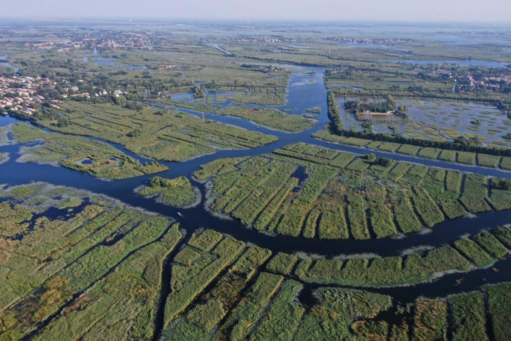新華全媒+丨探訪雄安新區白洋淀&ldquo;鳥島&rdquo;