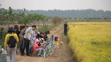 田園變&ldquo;游園&rdquo;，活力鄉村引客來