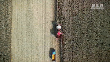 吉林：機(jī)械化水平提升 農(nóng)民告別&ldquo;手掰&rdquo;苞米